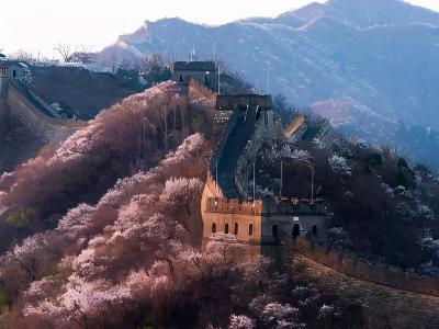 Mutianyu Great Wall surrounded by blooming flowers and mountain scenery