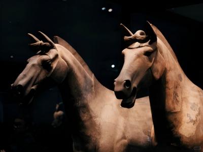 Terracotta Warriors bronze horse sculptures displayed at the museum