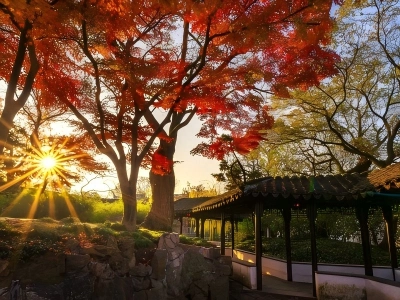 Suzhou Garden red maple sunset corridor autumn scenery Suzhou Garden red maple sunset corridor autumn scenery