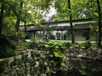 Humble Administrator's Garden Summer Scenery