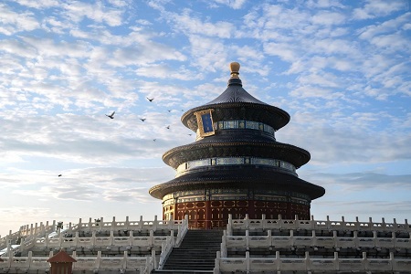 The Temple of Heaven in Beijing on a sunny day and wild geese flying by