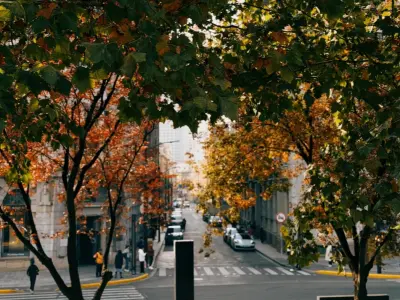 Shanghai Autumn City Street