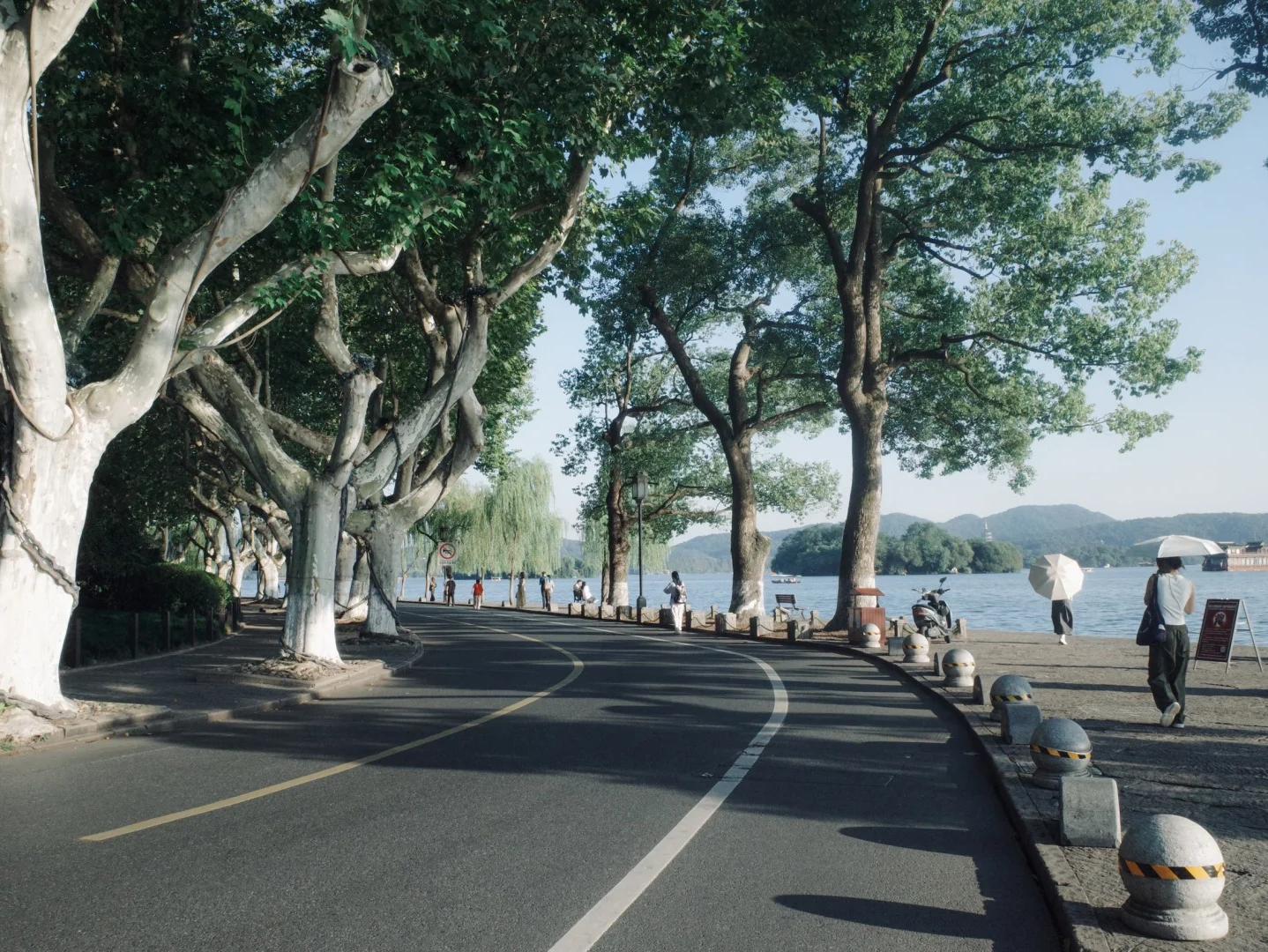 Tree-lined lakeside road at West Lake in Hangzhou