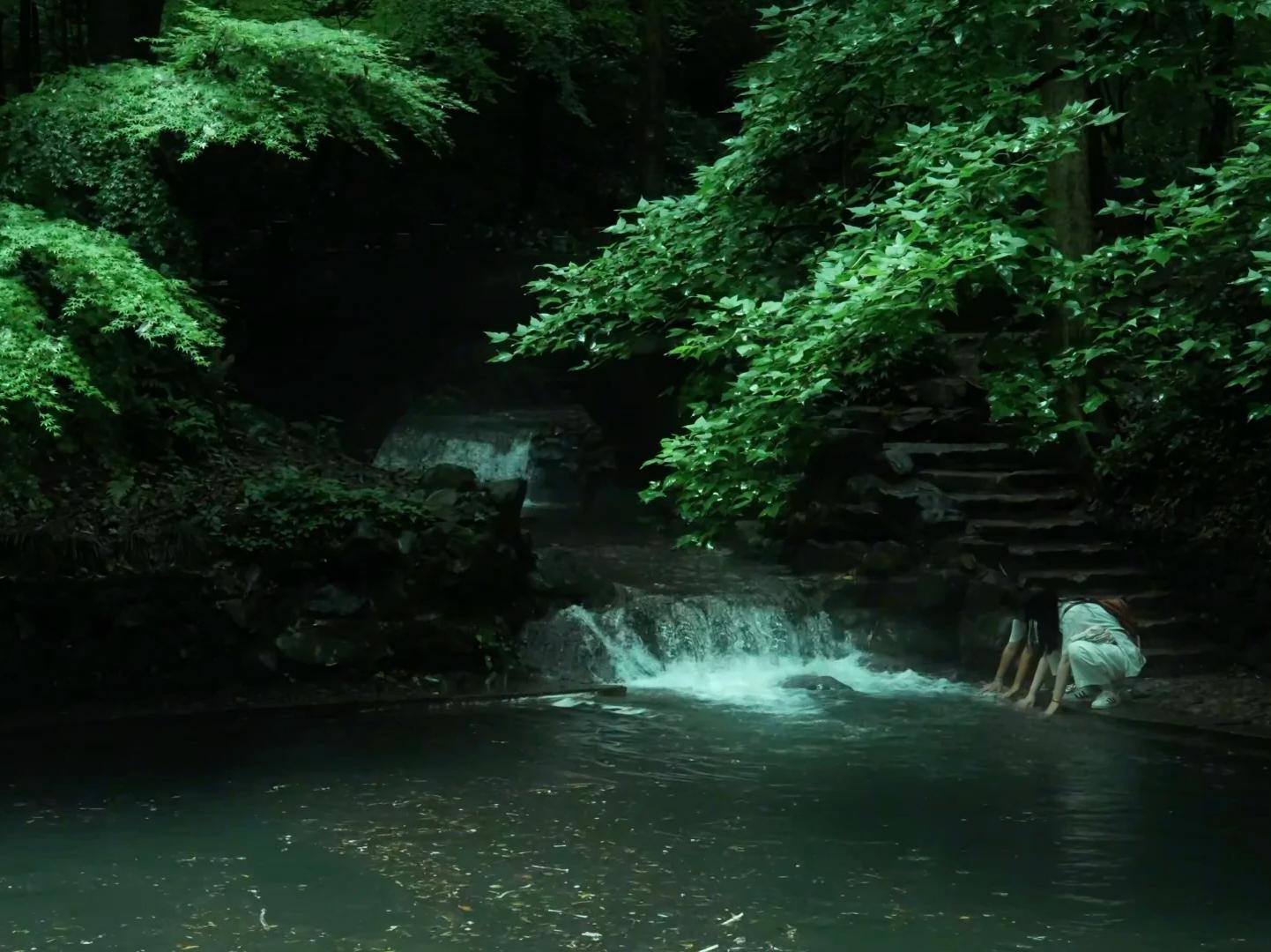 Hangzhou Xishan Mountain Forest Stream Scenic View