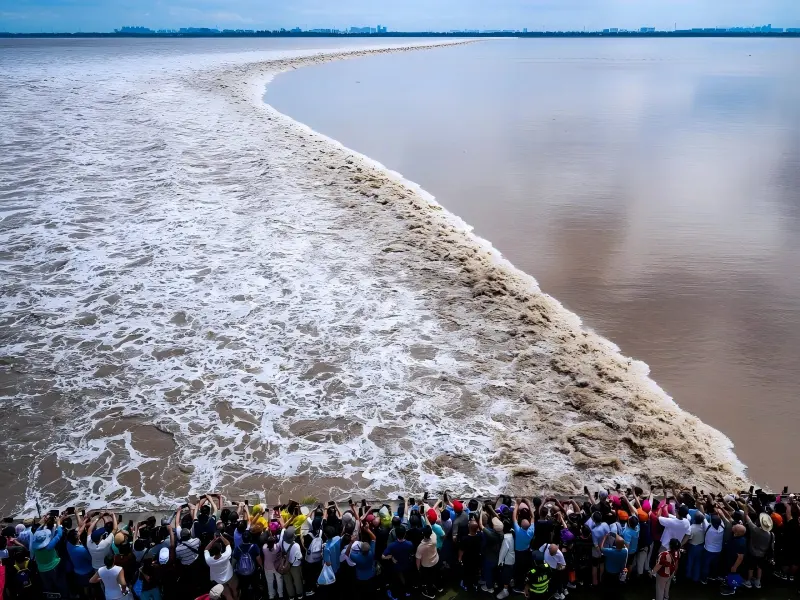 Crowds Watching Magnificent Qiantang River Tidal Bore