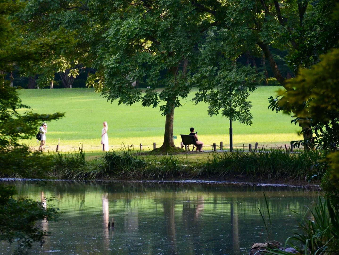 Hangzhou West Lake Lakeside Park with Peaceful Green Landscape