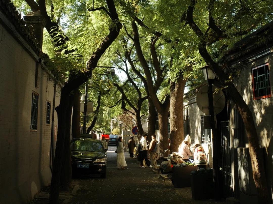 Beijing's hutongs are lush and green in spring