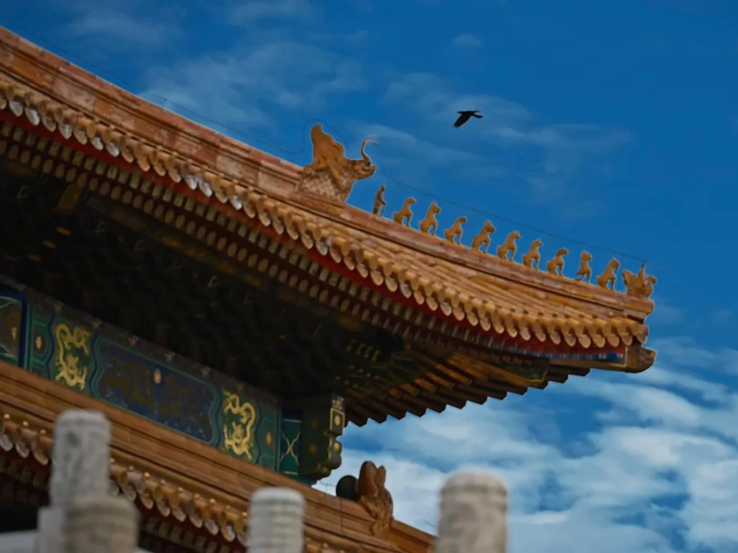 Palace Roof Eaves with Mythical Beasts, Forbidden City Beijing