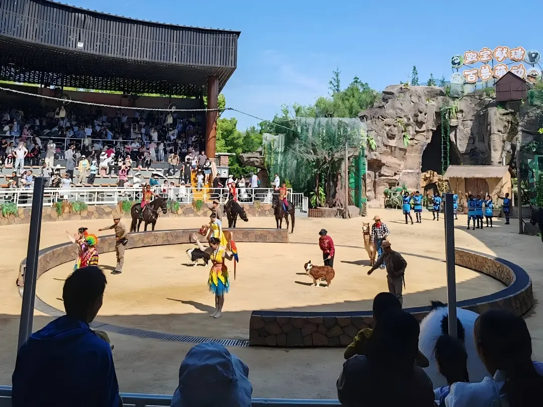 Animal Show Performance at Shanghai Wild Animal Park