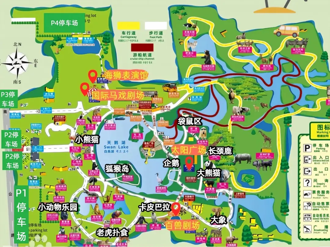 Shanghai Wild Animal Park Visitor Map