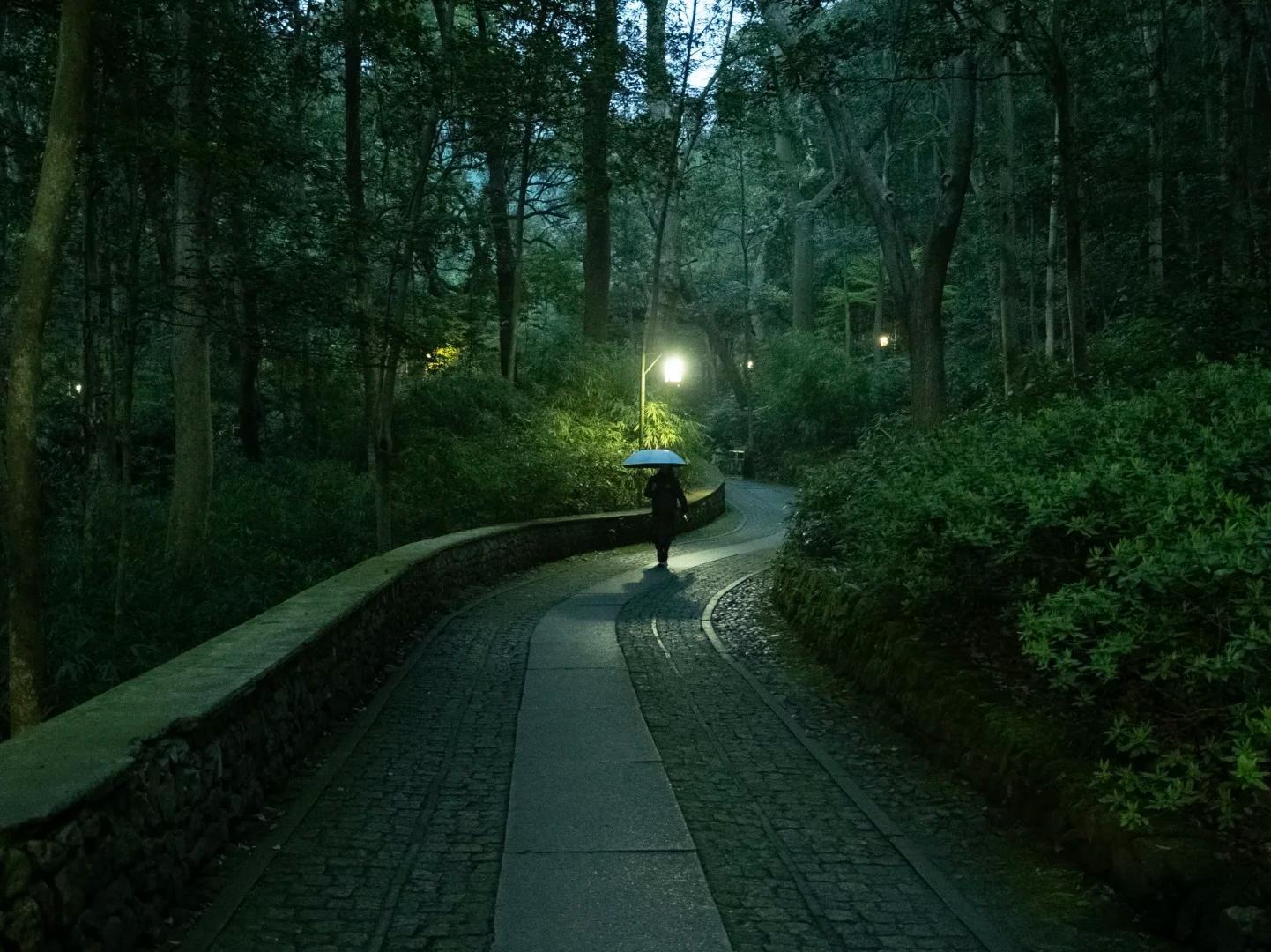 Rainy Night Forest Path at Nine?Creeks and Eighteen?Gullies Rainy Night Forest Path at Nine?Creeks and Eighteen?Gullies