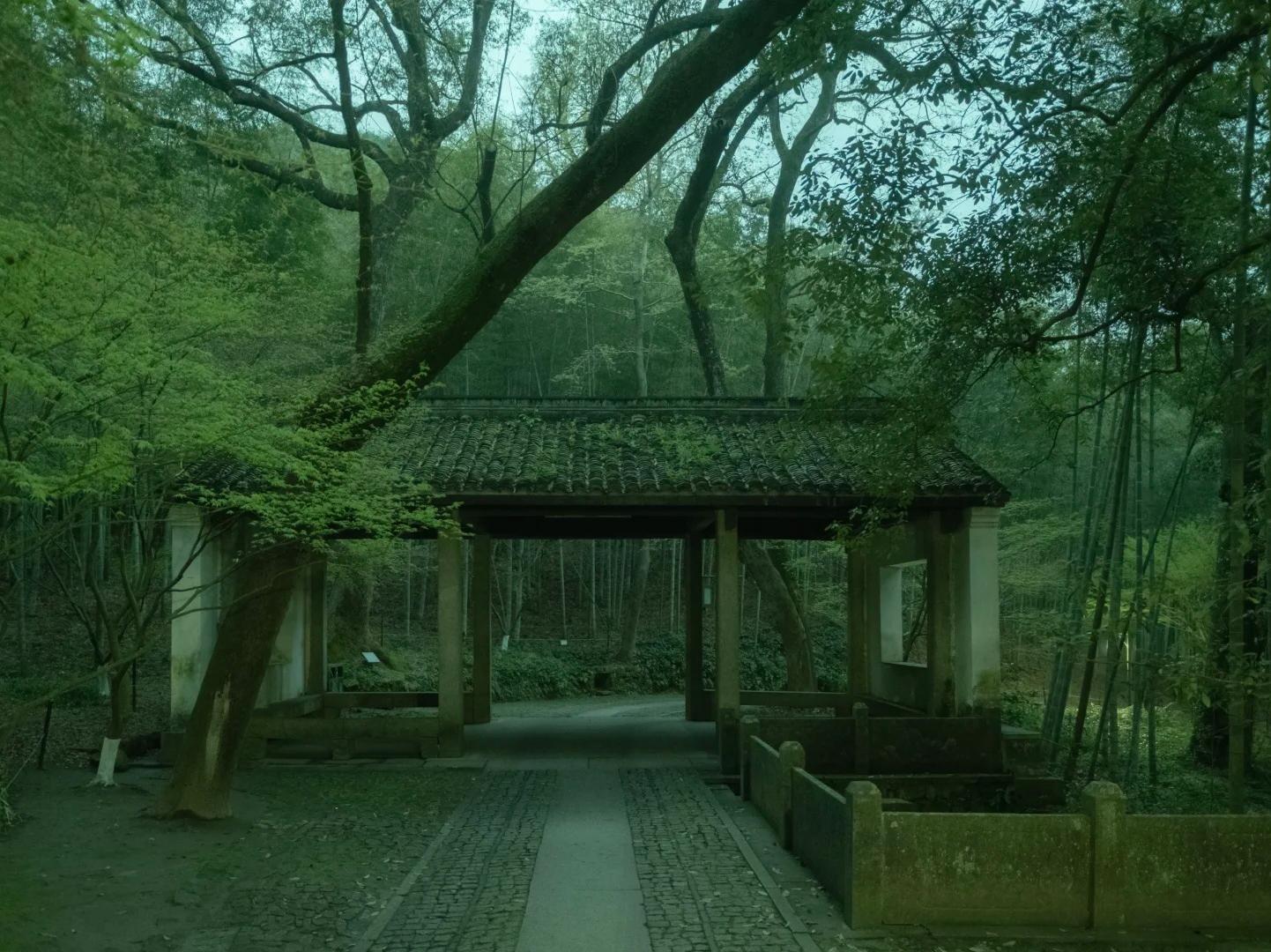 Ancient Pavilion Hidden in Hangzhou Mountain Forest Ancient Pavilion Hidden in Hangzhou Mountain Forest