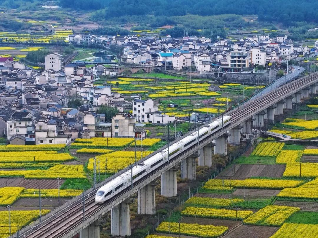 High?Speed Train Traveling Across Viaduct Through Rape Flower Fields and Ancient Villages High?Speed Train Traveling Across Viaduct Through Rape Flower Fields and Ancient Villages