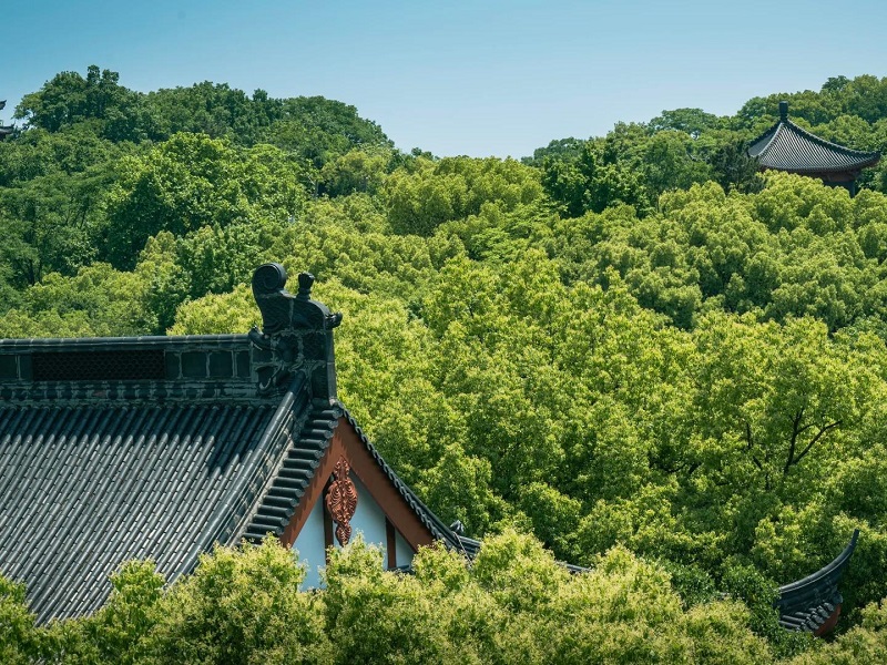 Wushan Hill View from City God Pavilion