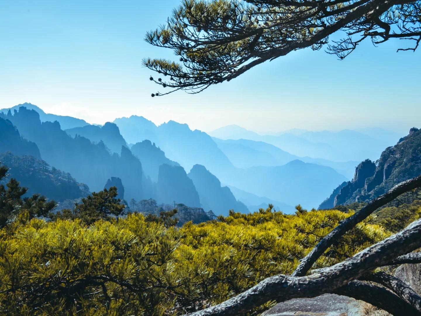 Mist?layered mountain scenery with Huangshan pine trees Mist?layered mountain scenery with Huangshan pine trees