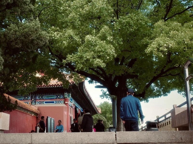 Visitors exploring traditional ancient architecture in Beijing
