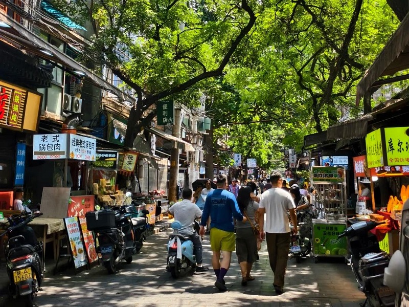 Lush tree shaded alley in Xi'an historic district